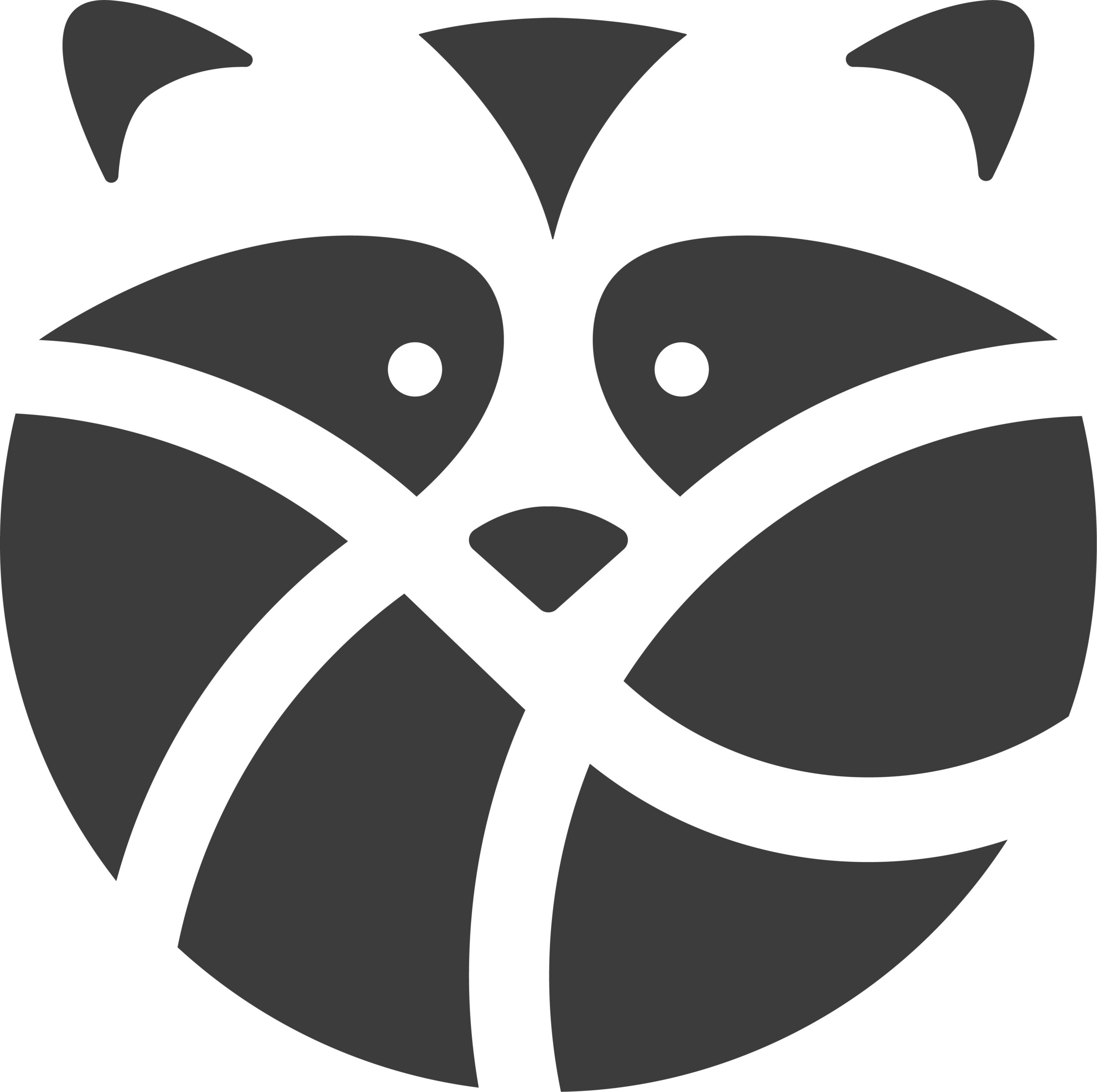 Icône-Racoon-Anthracite