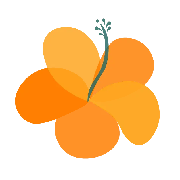 Image - Logo Hisbiscus Orange