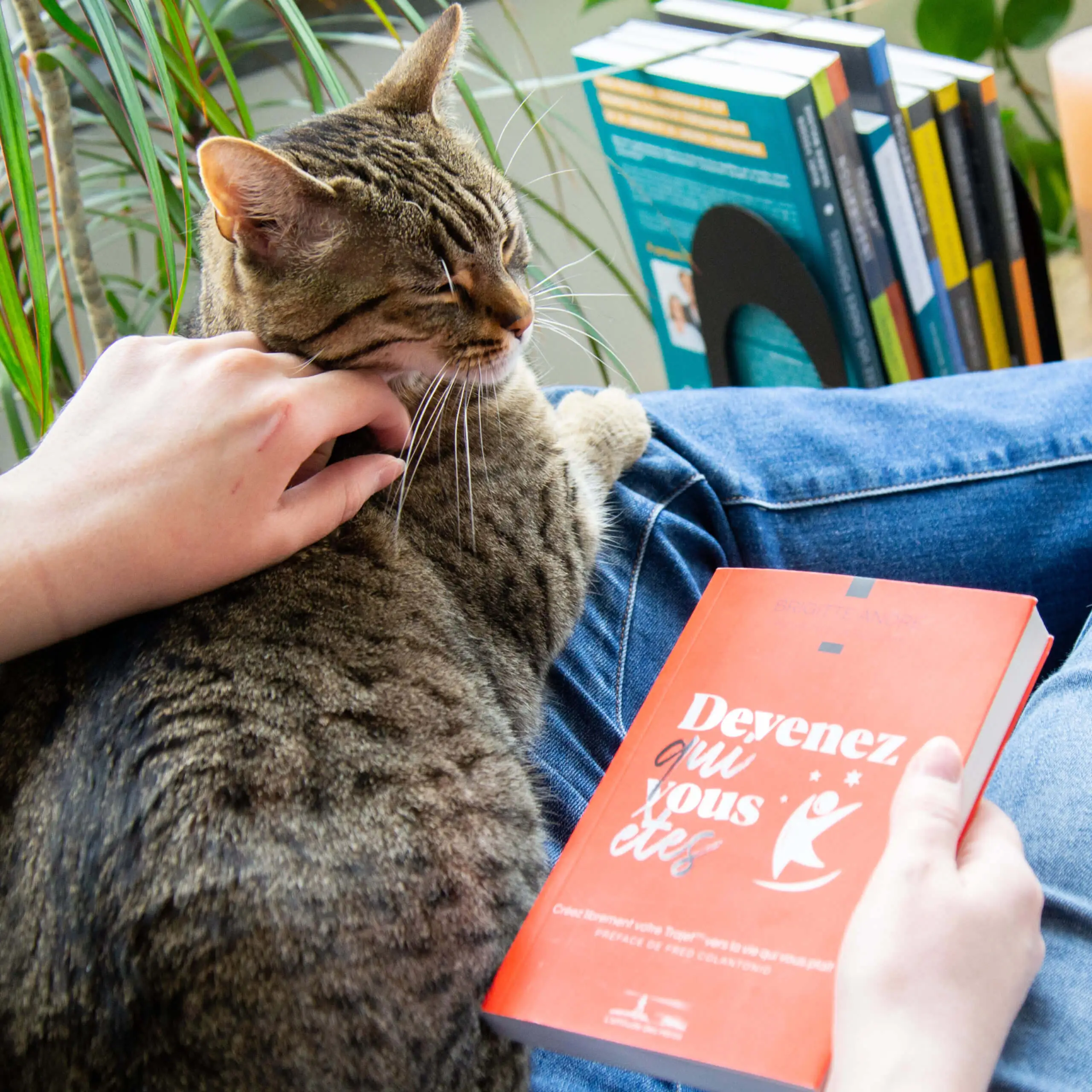 Image - Galerie de photos